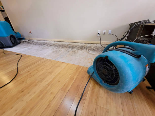 Professional Water Extraction technician working in Granite Bay, CA